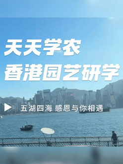 与香港园艺学会联合举办香港园艺研学，专业园境师带队讲解。