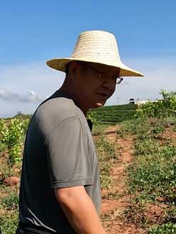 农业人叶涛，50多岁通讯人跨界搞农业，他要用1000万打造一个梦。